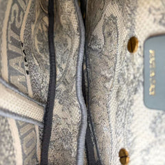 Dior Saddle Bag Toile de Jouy