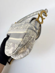 Dior Saddle Bag Toile de Jouy