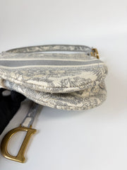 Dior Saddle Bag Toile de Jouy