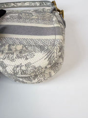 Dior Saddle Bag Toile de Jouy