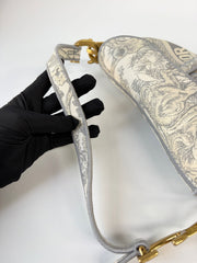 Dior Saddle Bag Toile de Jouy