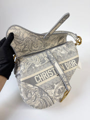 Dior Saddle Bag Toile de Jouy