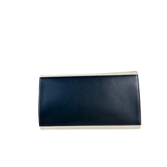 Celine Medium Trapeze TriColour